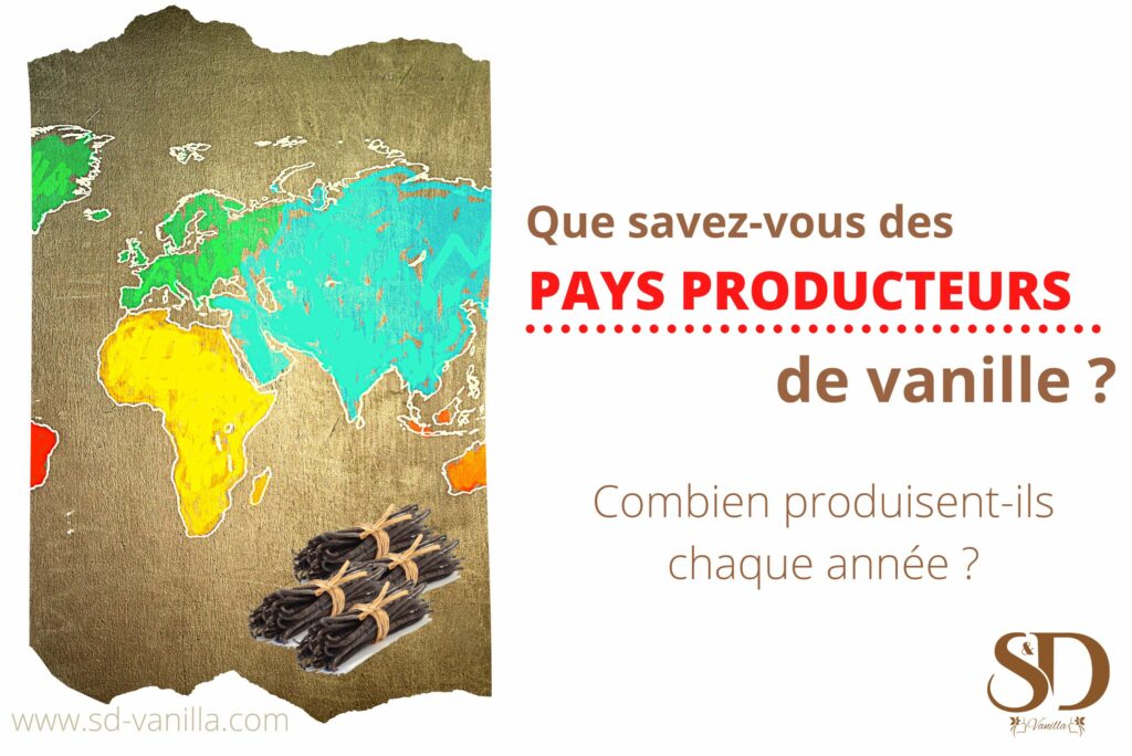 Que savez-vous des pays producteurs de vanille ? Connaissez-vous combien ils en produisent chaque année ?