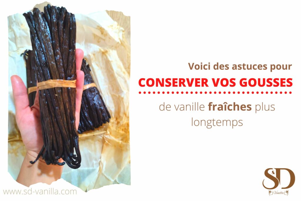 Astuces pour conserver ses gousses de vanille